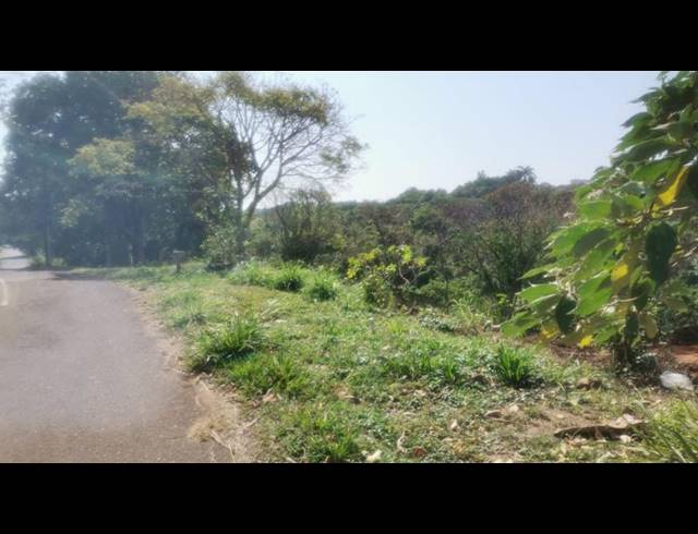 LAND FOR SALE IN SAICCOR